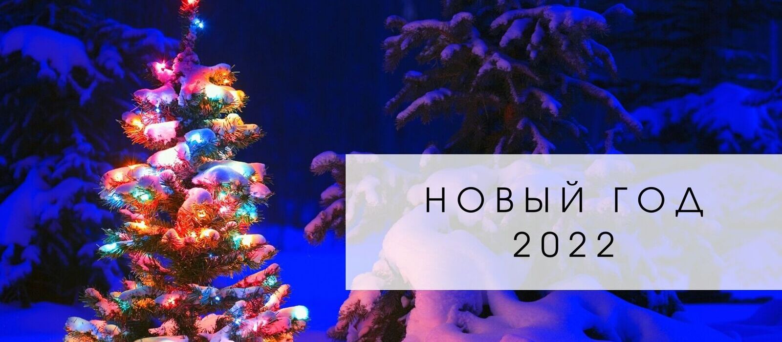 Через Сколько Дней Следующий Новый Год